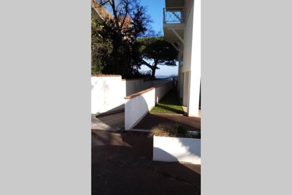 Appart Sur La Plage Pied Dans L Eau Avec Terrasse Jardin Vue Sur Le Bassin Depuis La Terrasse , Parking آركاشو المظهر الخارجي الصورة
