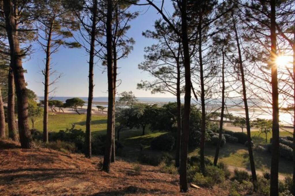Appart Sur La Plage Pied Dans L Eau Avec Terrasse Jardin Vue Sur Le Bassin Depuis La Terrasse , Parking آركاشو المظهر الخارجي الصورة