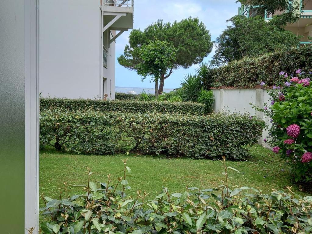 Appart Sur La Plage Pied Dans L Eau Avec Terrasse Jardin Vue Sur Le Bassin Depuis La Terrasse , Parking آركاشو المظهر الخارجي الصورة